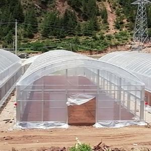 Wholesale Double Arches Double Film Agricultural Growing 10X50m Single Span Greenhouse from china suppliers
