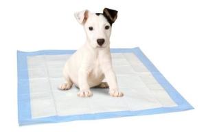 Wholesale Disposable Indoor Dog Pee Pad 1500mlAbsorbable Pets At Home Puppy Pads M 60x45cm from china suppliers