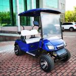 30mph Golf Cart Low Speed Vehicle 2 Passengers LSV With CE Certificated