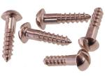 Metric Slotted Round Head Self Tapping Screws SS 304 316 / Carbon Steel Made