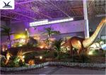 Indoor Shopping Mall Realistic Dinosaur Models Decoration / Full Size Animal