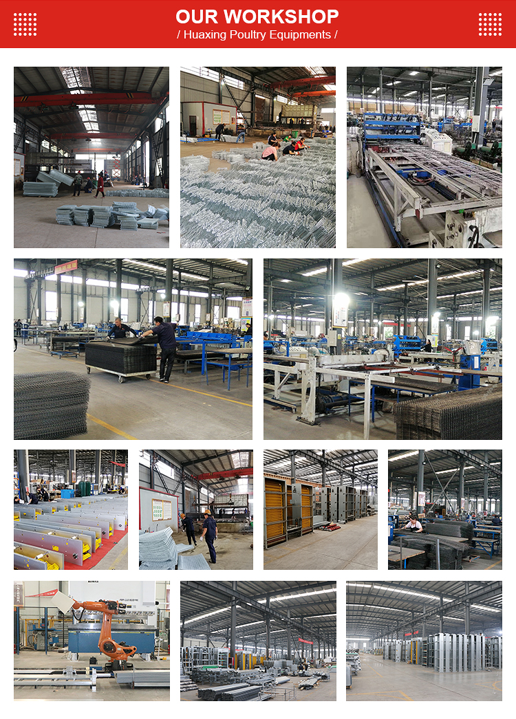 H TYPE LAYER CAGE (14).jpg
