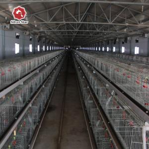 China Silver Baby Chick Modern Hen Cage With Full Automatic System on sale