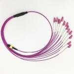 12F MPO Fanout Cable