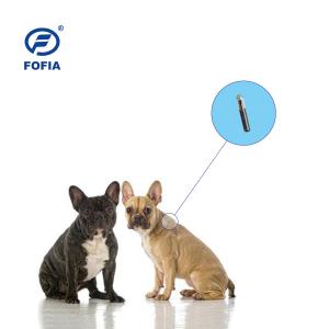 Wholesale RFID Glass ISO Transponder Microchip Tag Pet Birds Syringe For Animals from china suppliers