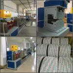 100kg/H 0.45mm 0.5mm PET PP Strapping Band Making Machine 80KW