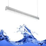 Maximum Yield 300W Greenhouse LED Grow Lights Trusses Installation
