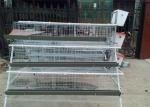 4 Tier 5 Doors Layer Chicken Cage 2300mm Width Poultry Layer Cage