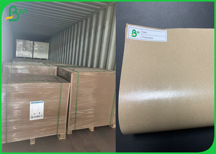  Greaseproof 140g + 15g Glossy PE Coated Kraft Paper In Roll 790mm