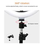 10W 3 Modes Video Light Fill Lamp USB Youtube Live Streaming Beauty Fill Light