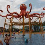 Aqua Equipment Octopus with Water Spray for a Commercial Spray Park / Customized