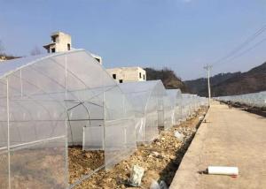 Wholesale Plastic Polycarbonate Film Greenhouse Simple Structure For Planter Agriculture from china suppliers