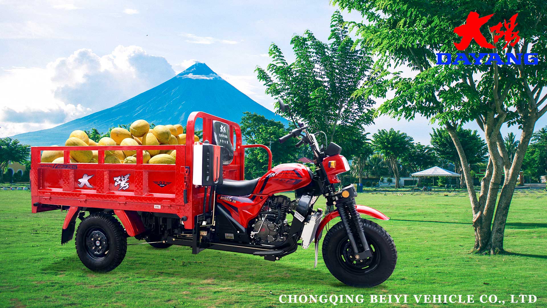 DAYANG DY5 150 200 250CC Gasoline Engine Cargo Tricycle for Heavy Load Transportation