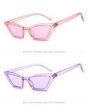 Outdoor Anti Glare PC Glasses UV400 Cat Eye Hot Sale Sunglasses