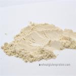 Water Absorption Viscoelasticity Nx6.25 Dried Wheat Gluten