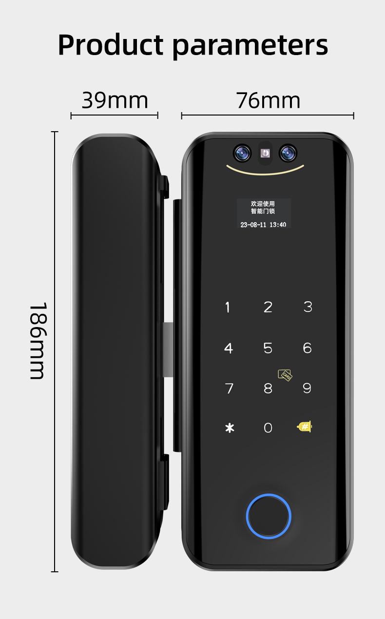 Smart Home Door Lock Tuya Face Recognition Glass Door Lock Digital Lock Fingerprint Password Card Key Door Lock For Home