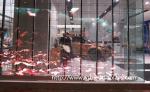 Glass Shop Advertising P3.91-7.82 Pantalla Transparent LED Display Screen
