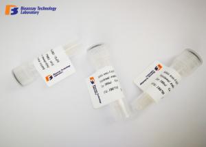 China PDK1 Rabbit Polyclonal Antibodies 20ul / 50ul / 100ul Size Available on sale