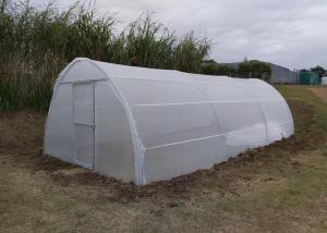 Wholesale 50 Mesh 100%HDPE Blue Non-Toxic Insect Mesh Netting for Fruit from china suppliers