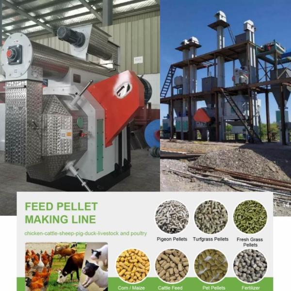 100kg To 10 Ton Pellet Mill Machine Animal Feed Pellet Production Line Biomass