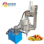 Customized Voltage 300L Cold Pressed Juicer for Commercial Fruit and Vegetable