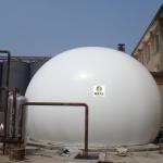 Anaerobiosis Bio Gas Holder PDFE Containerised Biogas Plant Flexible