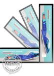 48.8 Apple Style Frame Stretched Lcd Display Long Skinny 700 Nits 4K Display