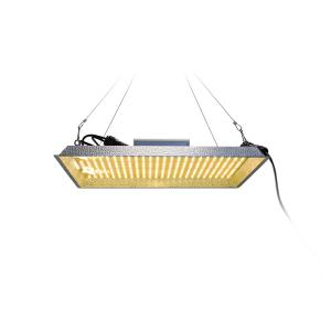 Wholesale Waterproof IP65 300W Sunlight LED Grow Lights from china suppliers