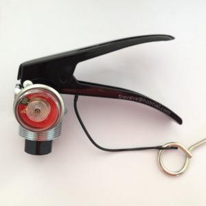 Wholesale indian type fire extinguisher valve normal 5kg with pressure gauge from china suppliers