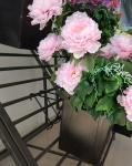 Movable Flower Shop Display 100kg Loading Capacity 445X795X1160 MM Size