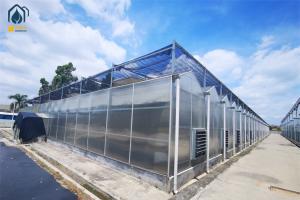 Wholesale Durable Steel Frame Polycarbonate Greenhouse For Winter Vegetable Production from china suppliers