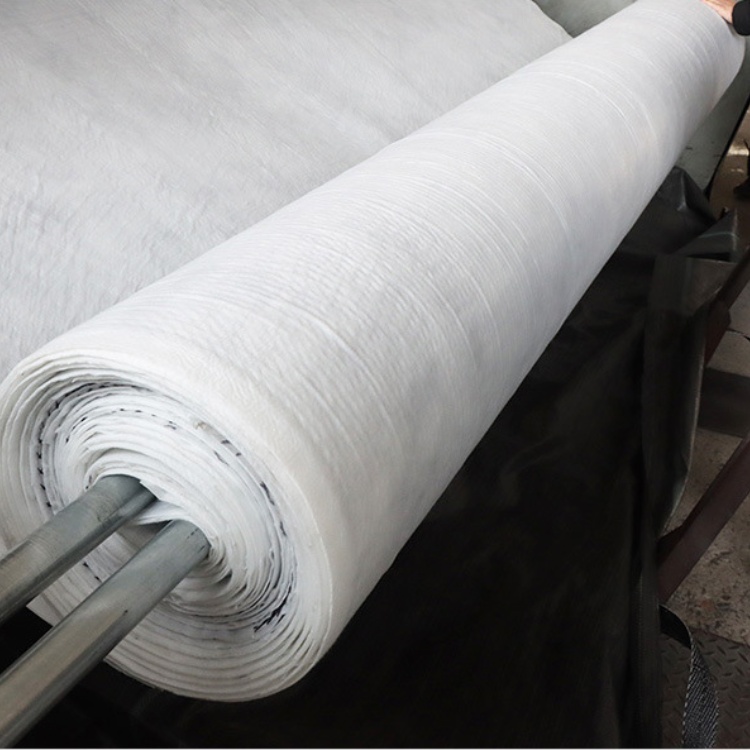 Total Solution for Projects 6mm Thickness Paste Geotextile Composite Drainage Geonet