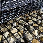 CE/ISO Approved PP Biaxial Plastic Geogrid for Chinese Design Style Road