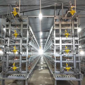 Wholesale Hot Galvanized Poultry Farm Laying Hens Equipment System Automatic Battery Layer Chicken Cage from china suppliers