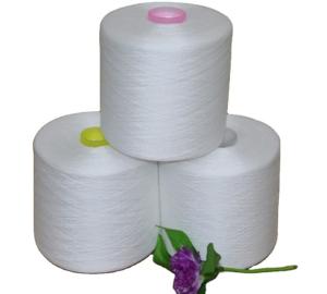 Wholesale 20/2 40/2 60/2 80/2 Yizheng Fiber Raw White 100% Polyester Ring Spun Yarn Price from china suppliers