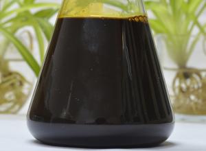 Wholesale Supercritical CO2 Extraction Cinnamon Oleoresin from china suppliers