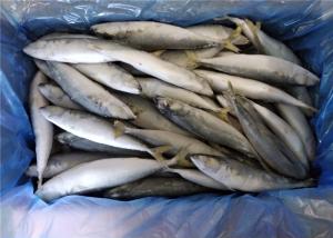 Wholesale High Protein 80g 100g Pacific IQF Frozen Mackerel Fish from china suppliers