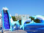 Blue Animal Giant Dolphin Inflatable Water Slide Adult Size Huge Inflatable