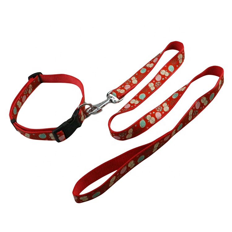 Double Layer Harness Leash Set Waterproof Pet Collar Leash For Dog