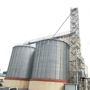 Wholesale 20000 Tons Perfect STR STGF200 Building Silo Machine for Grain Storage Raw Material from china suppliers