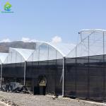UV Resistant PE Film Commercial Poly Tunnel Greenhouse For Tropical Climate