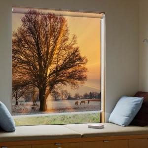 Wholesale Dustproof Custom Printed Roller Shades , Elegant Internal Blockout Blinds from china suppliers