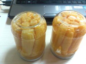 Wholesale canned baby corn from china suppliers