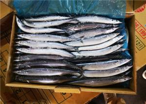Wholesale 90g 100g Whole Round Seafrozen BQF Pacific Saury Fish from china suppliers