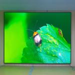 Enterprise Conference Indoor Full Color LED Display Video Center P2 LED Panel