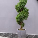 Boxwood Ball Artificial Potted Floor Plants Indoor Nordic Home Decoration