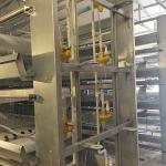 Rigid Q235 Steel Baby Chick Cage Multi Doors High Performance For Farm