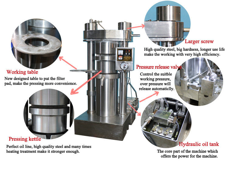 Easy Operation Hydraulic Oil Press Machine Sesame Oil Presser Walnut Oil Extraction Machine