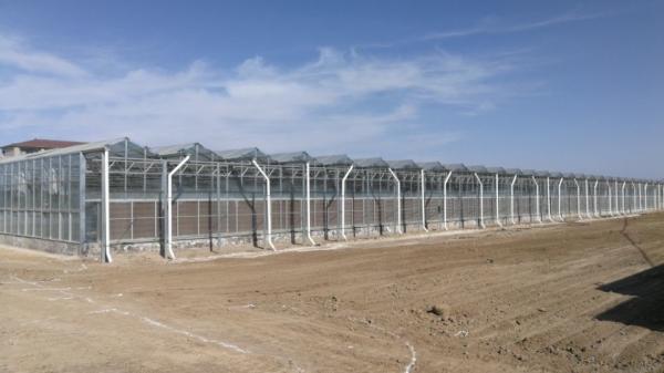 Anti Wind Commercial Glass Greenhouse High Light Transmission For Vegetable