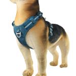 16 Inches Custom Blue Emergency Escape Proof Dog Harness For Small Dogs Tear